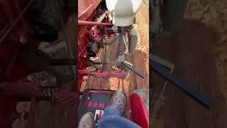 Cultivating silver queen corn  #farmall #ih #farming #pigfeed #homesteading
