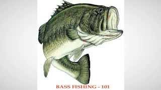 Bassfischen 101: Bass Angel Tipps / Techniken (Big & Black Bass)