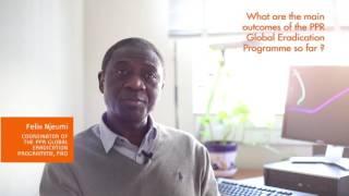 Peste des Petits Ruminants Global Eradication Programme -  Interview to Felix Njeumi