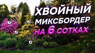 29 хвойных для 6 СОТОК: в чем СЕКРЕТ гармоничных композиций?