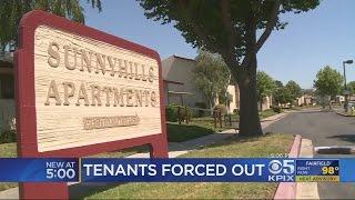 Hundreds At Milpitas Apartment Complex Set For Eviction