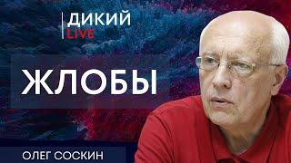 Приближаются страшные дни! Олег Соскин. Дикий LIVE.