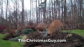 Professional Christmas Light Installation