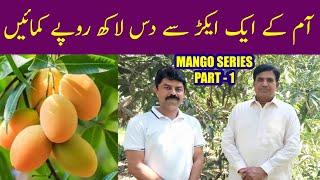 Mango Production Technology l How to Earn One Million Per Acre from Mango Orchard