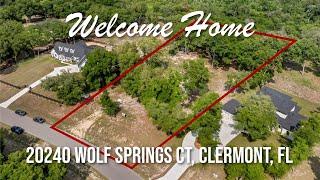 Homes for sale in Clermont FL: Home for sale at 20240 Wolf Springs Court Clermont FL 34715