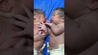 twins first meeting