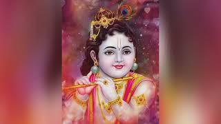 Shri Krishna Govind Hare Murari Hey Nath Narayan Vasudeva - Krishna Bhajan