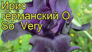 Ирис германский О Со Вери. Краткий обзор, описание характеристик iris germanica O So Very