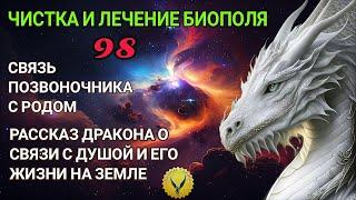 98.Рассказ дракона о связи с душой и жизни на земле. Связь позвоночника с родом. Регрессивный гипноз