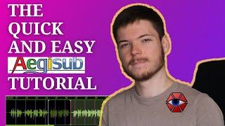 The Quick and Easy Aegisub Subtitle Tutorial