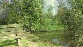 PRACHTIGE NATUUR EN ONTSPANNENDE MUZIEK -  BEAUTY OF NATURE AND RELAXING MUSIC