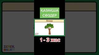ҚАЗАҚША СӨЗДЕР 1 3 жас шортс балаларға арналған дамытушы видео short #shorts