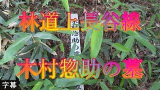 アジサイの咲く頃 6月7日 土曜 晴れ 梅雨 美しい緑 林道上長谷線 木村惣助の墓 日本 鳥取県西伯郡南部町能竹 南部町西伯カントリーパーク @WalkingYoshi