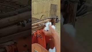 The process of separating cotton seeds