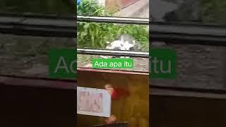Masih Sore udah berbuat mesum kelakuan