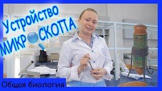 Строение микроскопа.