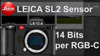 LEICA SL2 | Highlights & Shadows Recovery | Dynamic Range