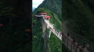 Bridge Collapse Caught on Camera! Close Call! #shorts