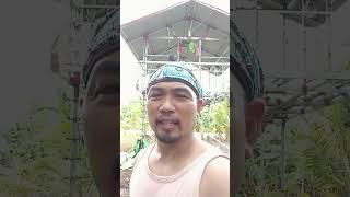 build my BahayKuBo