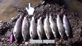  Fishing in the deep taiga The first pillar 8 Survival Hunting Siberia Bear Taiga Grayling Taimen