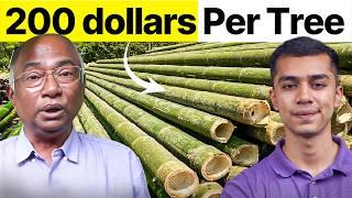 Bamboo Farming, Carbon Credits & Ethanol Production | Agritalk by Abhinav Roy (Part 1)