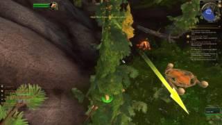 WoW Quest: Those Bears Up There