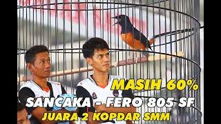 MASIH 60%  SANCAKA TAMPIL PERDANA HABIS MABUNG - FERO 805 SF.