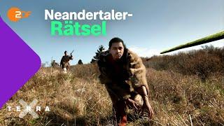 So starben die Neandertaler aus | Terra X plus