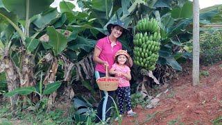 As Receitas Mais loucas e Deliciosas Feita Com Banana