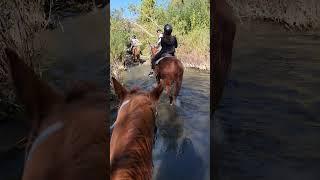 Ride Dec2023