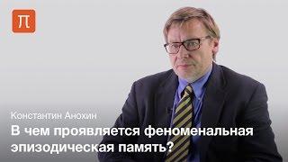 Феноменальная память и история Ш. — Константин Анохин