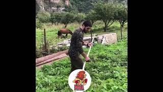 Алаф дарави Хабиб Нурмагомедов ва Ислом Махачов