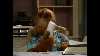 #ALF - Funny Donald Trump Reference  Alf gordon shumway