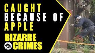 Bizarre Crimes & Disappearances: The Man Caught Because of an Apple Core