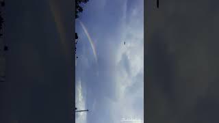 Wait for it!      #mobilevideography  #rainbowsky #birds #trending #trendingshorts