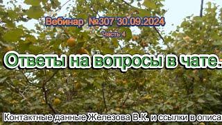 Железов Валерий.  Вебинар 307.  ч. 4.  Ответы на вопросы в чате.