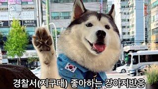 경찰서(지구대) 좋아하는 강아지!! 결국!!!