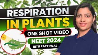 Respiration in Plants Class 11 one shot NCERT | All Concept & PYQS | Ritu Rattewal | NEET Biology