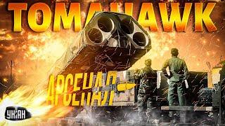 Tomahawk - Украине? Что это за ракеты, которые Зеленский попросил у США