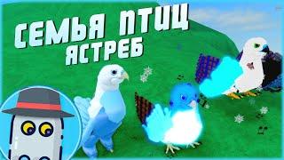 ЯСТРЕБ(ОБНОВЛЕНИЕ, 2022) СЕМЬЯ ПТИЦ РОБЛОКС HAWKFEATHER FAMILY UPDATE 2022ROBLOX