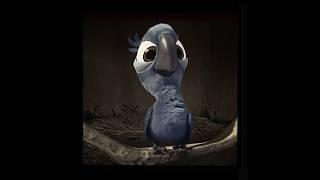 flightless bird edit #bluesky #edit #trending #rio #blue #tiktok #viralvideo #shorts #fyp #bird