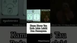 Beda mata laki laki dan mata perempuan