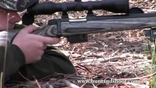 CZ 527 .223 Remington Varmint Laminate Review