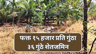 स्वस्त जमीन कोकण | स्वस्त प्लॉट कोकण | Swast jamin konkan | swast plots konkan | chipest plotskonkan