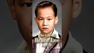 The Life of Bruce Lee 