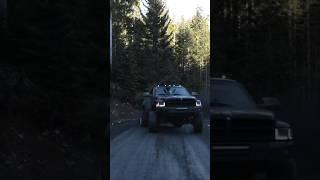 How To Properly Get A Christmas Tree!