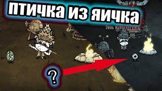 Как высидеть яйцо ВЫСОКОЙ птицы из Don't Starve Together