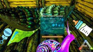 ARK: Survival Evolved Breeding Achatina, Cementing Paste