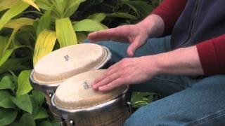 Bongo Grooves for Beginners DVD or Download