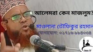 mawlana Tawfiqur Rahman contact 01716884034(official video)thanks for watching subscribe the channel